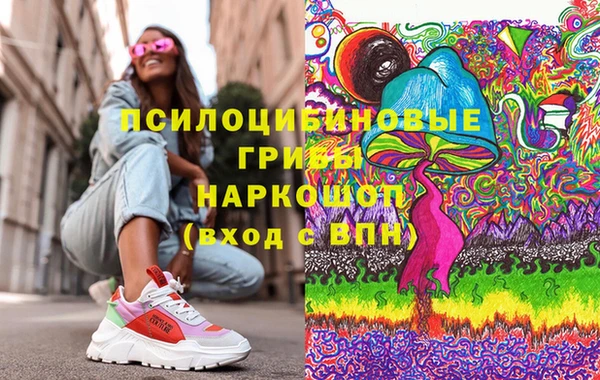 прущий лед Алзамай