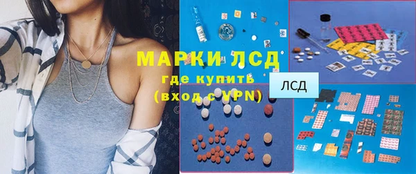прущий лед Алзамай