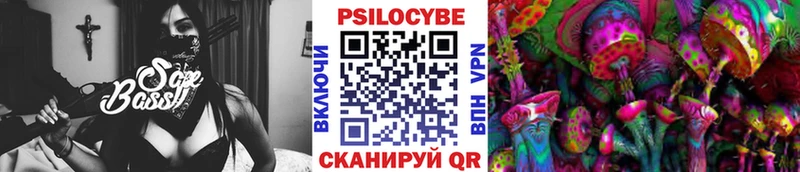 закладки  Болгар  Псилоцибиновые грибы Psilocybine cubensis 